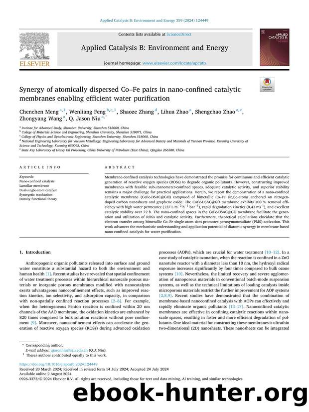 Synergy of atomically dispersed CoâFe pairs in nano-confined catalytic membranes enabling efficient water purification by unknow