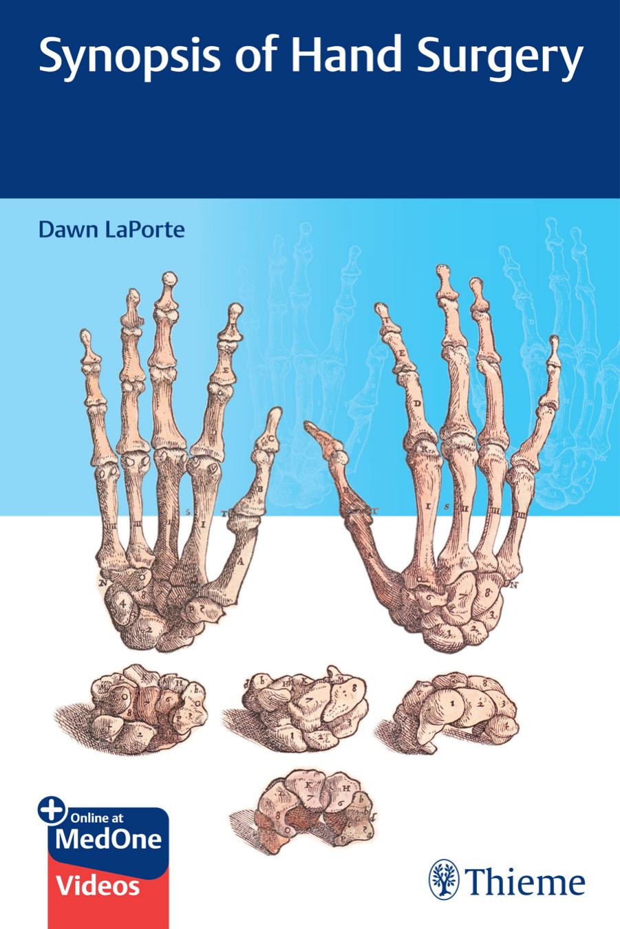 Synopsis of Hand Surgery by LaPorte Dawn