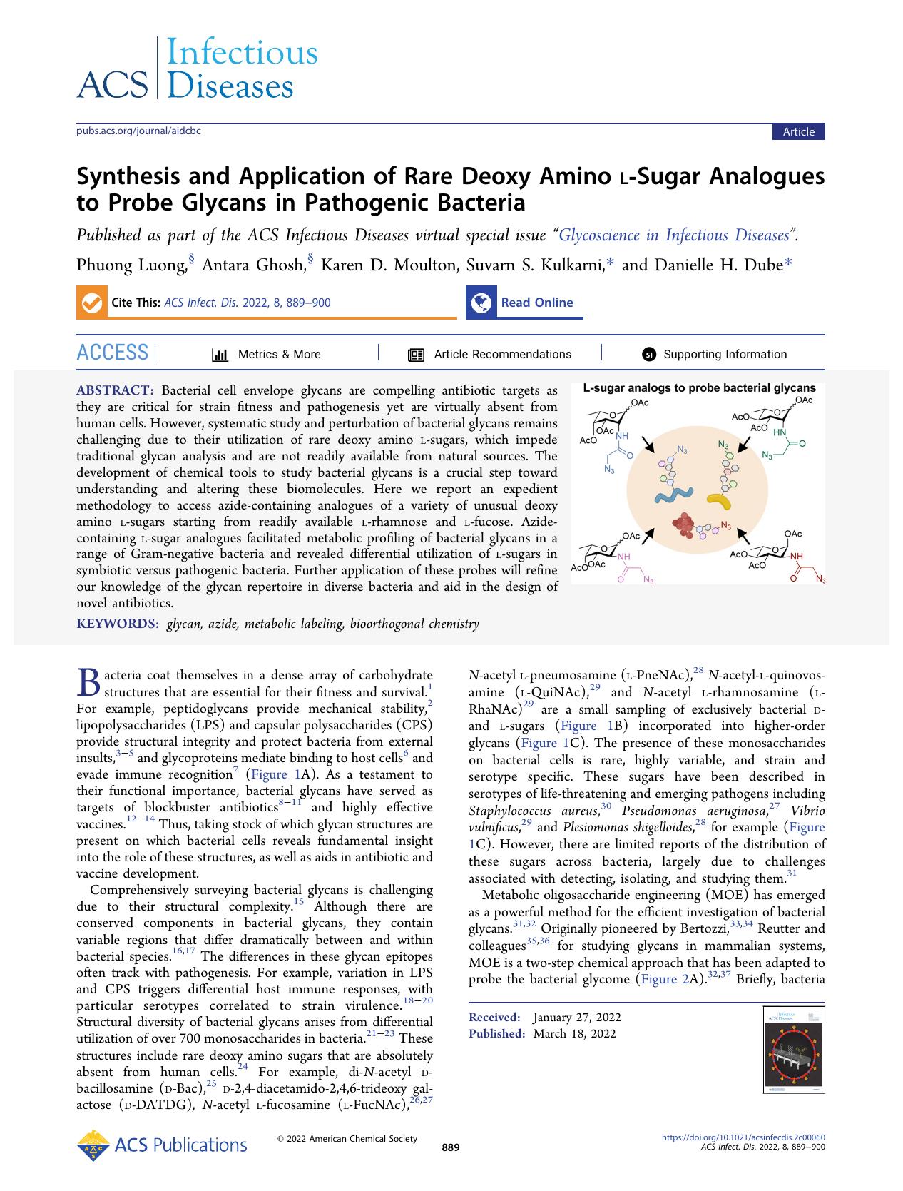 Synthesis and Application of Rare Deoxy Amino l-Sugar Analogues to Probe Glycans in Pathogenic Bacteria by Phuong Luong Antara Ghosh Karen D. Moulton Suvarn S. Kulkarni and Danielle H. Dube