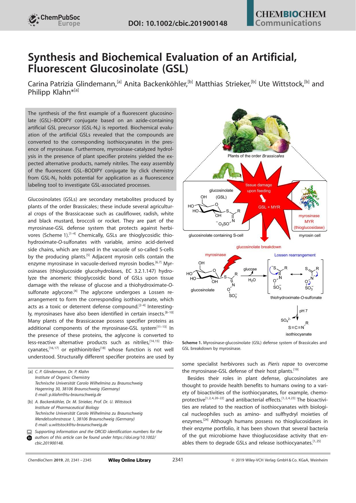 Synthesis and Biochemical Evaluation of an Artificial, Fluorescent Glucosinolate (GSL) by Unknown