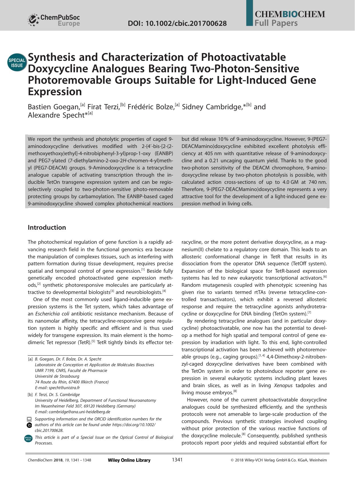 Synthesis and Characterization of Photoactivatable Doxycycline Analogues Bearing TwoâPhotonâSensitive Photoremovable Groups Suitable for LightâInduced Gene Expression by Unknown