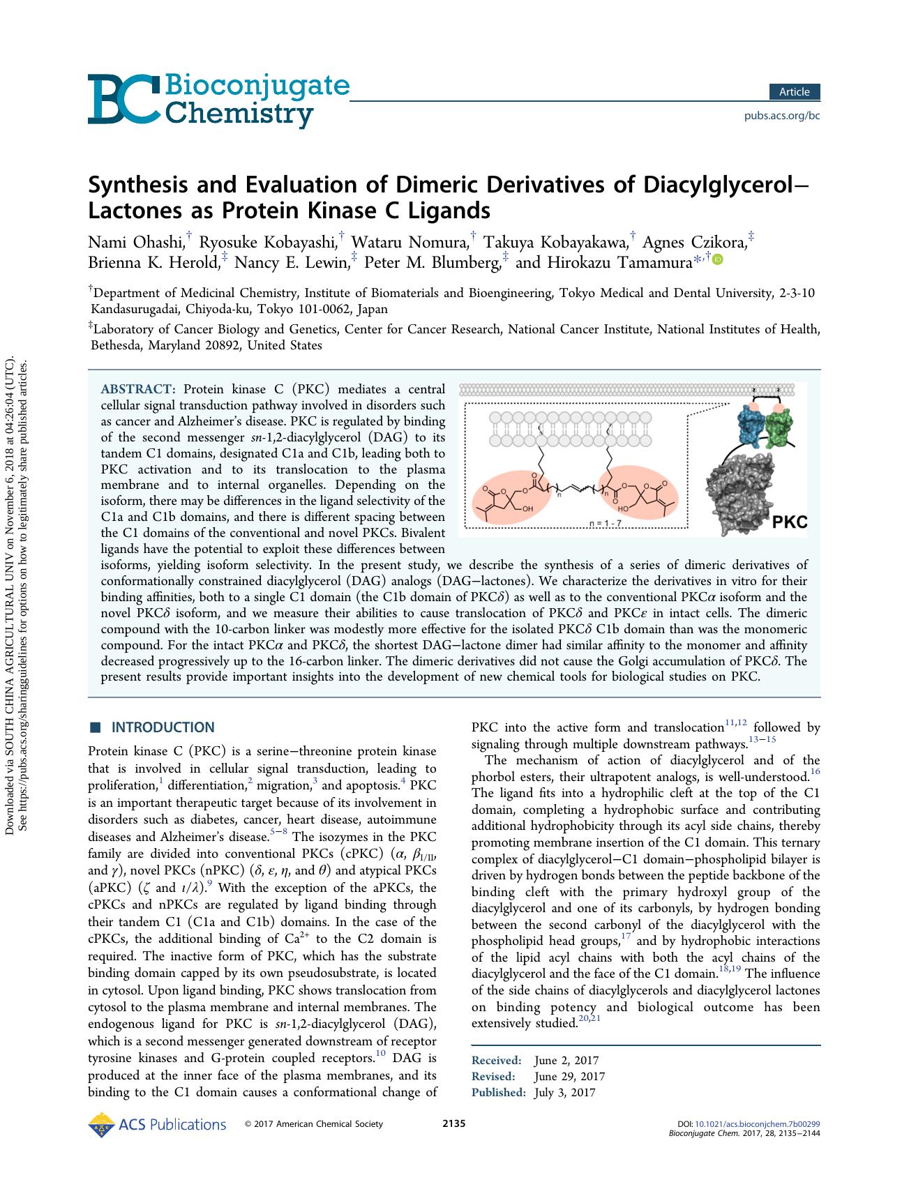Synthesis and Evaluation of Dimeric Derivatives of DiacylglycerolâLactones as Protein Kinase C Ligands by unknow