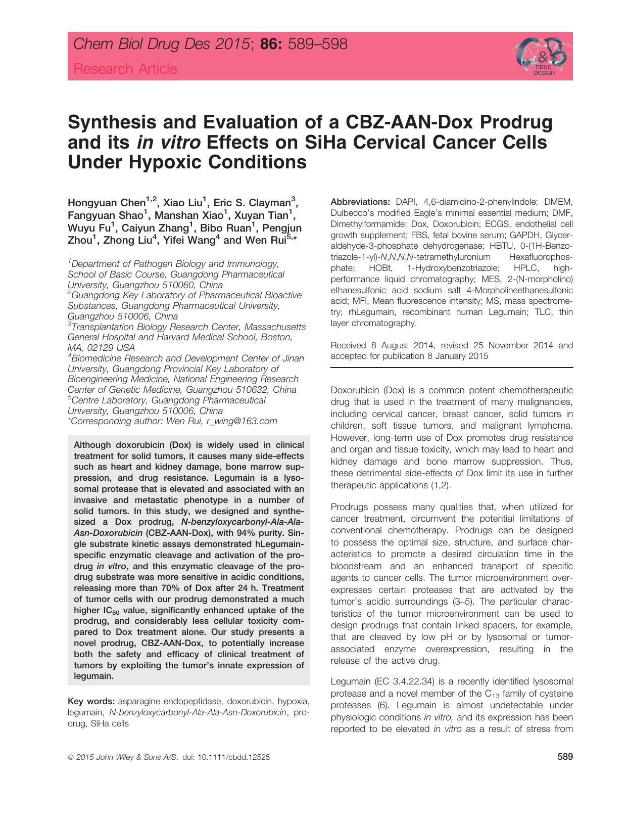 Synthesis and Evaluation of a CBZ‐AAN‐Dox Prodrug and its in vitro Effects on SiHa Cervical Cancer Cells Under Hypoxic Conditions by unknow
