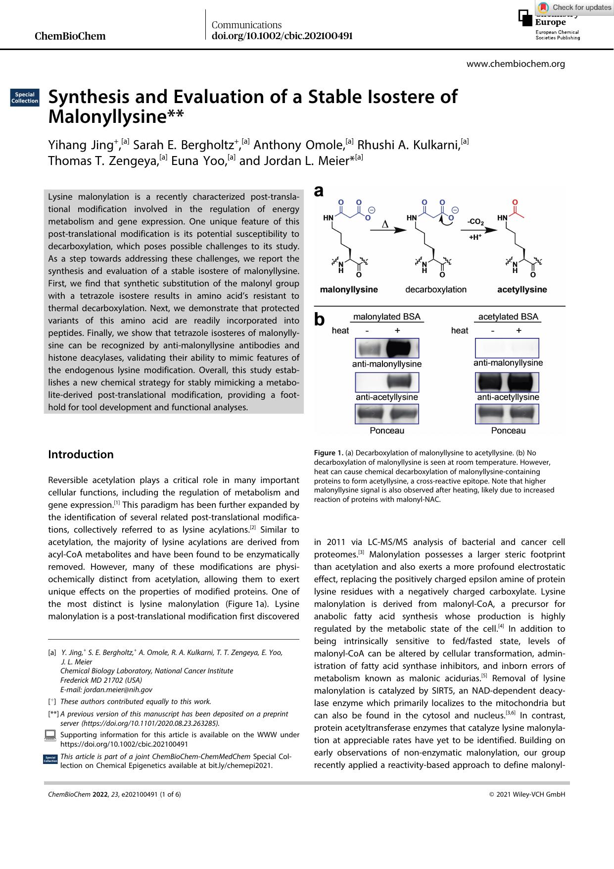 Synthesis and Evaluation of a Stable Isostere of Malonyllysine** by Unknown