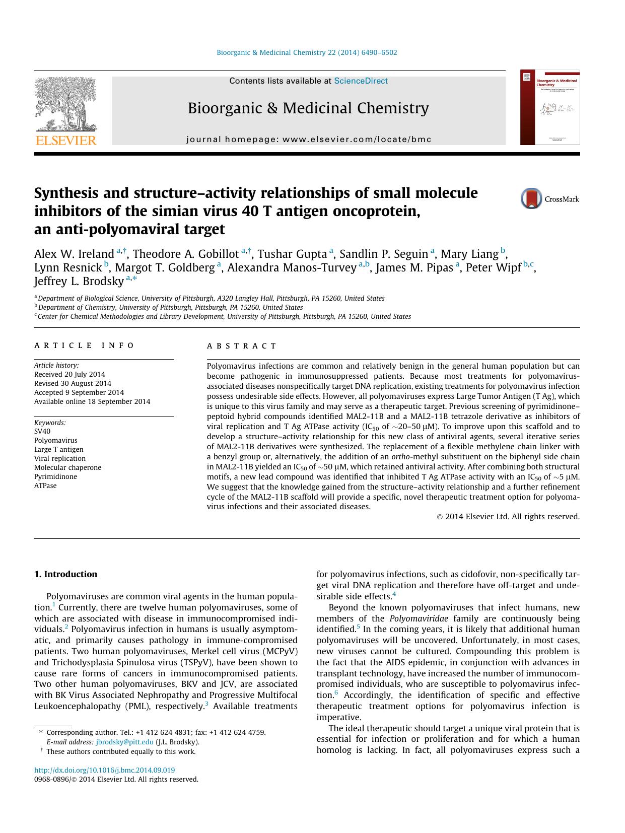 Synthesis and structureÃ¢â¬âactivity relationships of small molecule inhibitors of the simian virus 40 T antigen oncoprotein, an anti-polyomaviral target by unknow