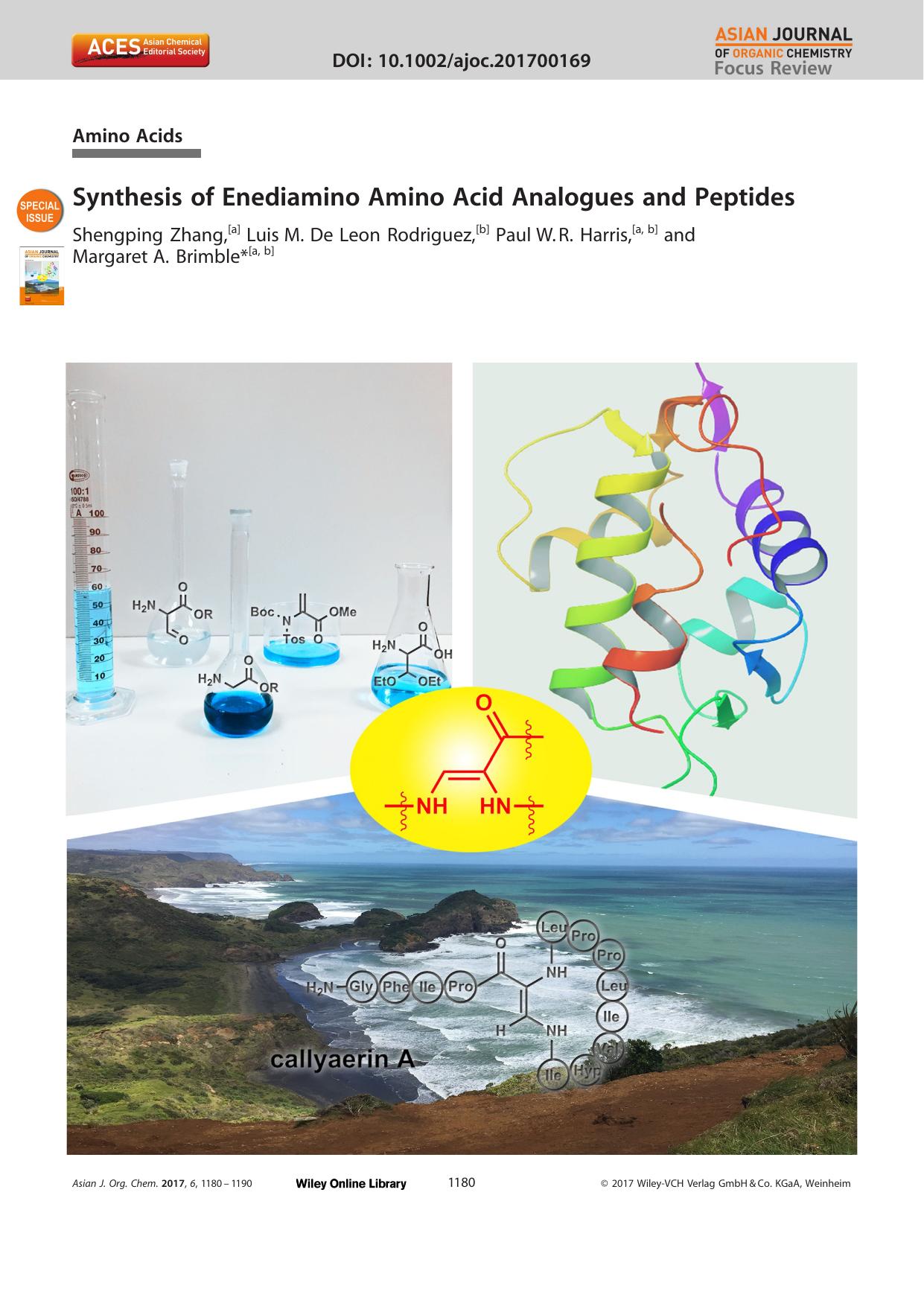 Synthesis of Enediamino Amino Acid Analogues and Peptides by Unknown