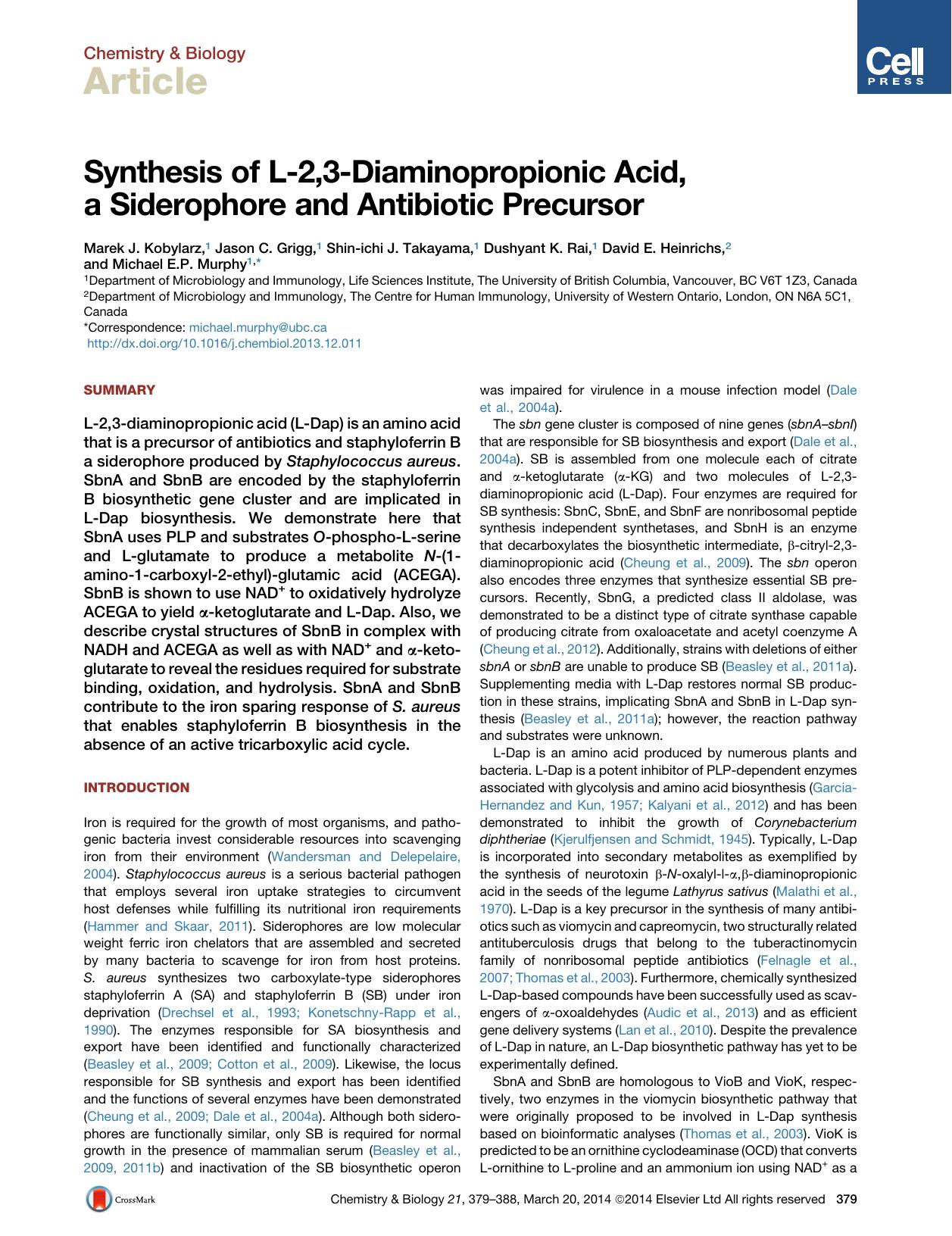 Synthesis of L-2,3-Diaminopropionic Acid, a Siderophore and Antibiotic Precursor by unknow