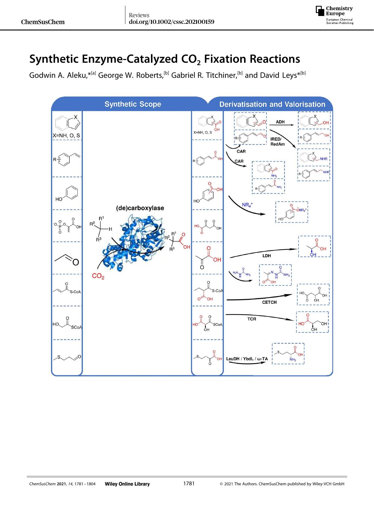 Synthetic EnzymeâCatalyzed CO2 Fixation Reactions by Unknown