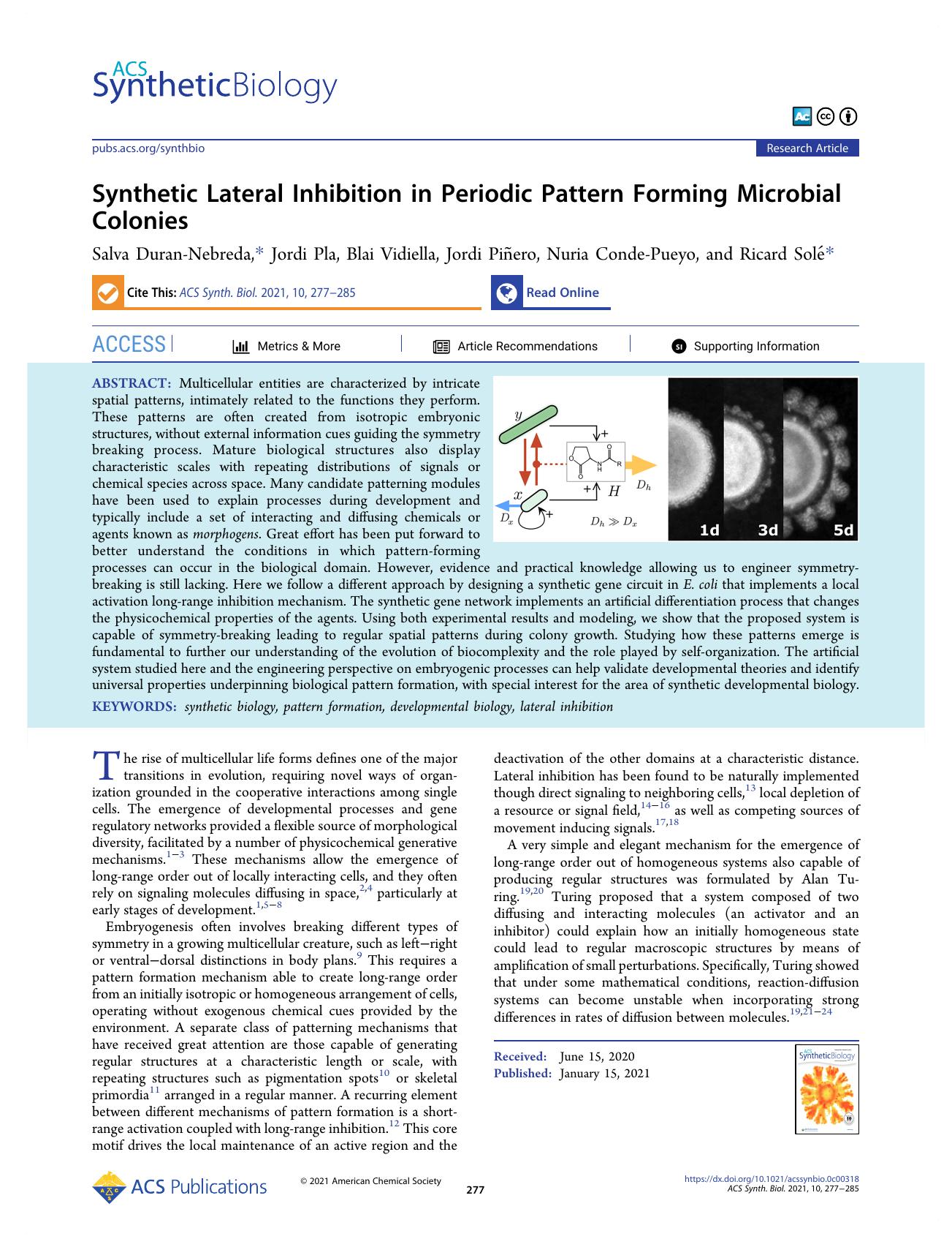 Synthetic Lateral Inhibition in Periodic Pattern Forming Microbial Colonies by Salva Duran-Nebreda Jordi Pla Blai Vidiella Jordi Piñero Nuria Conde-Pueyo and Ricard Solé