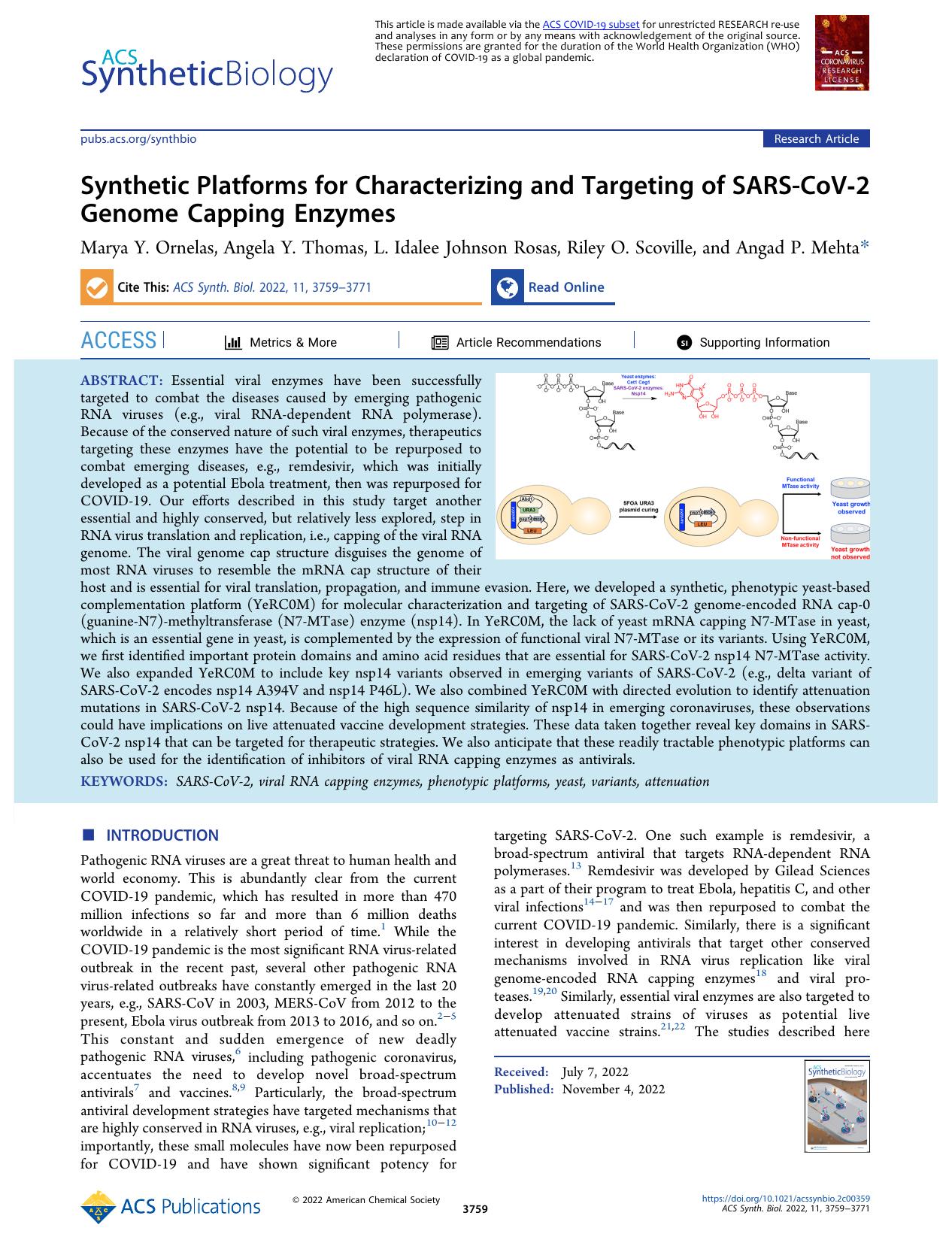 Synthetic Platforms for Characterizing and Targeting of SARS-CoV-2 Genome Capping Enzymes by Marya Y. Ornelas Angela Y. Thomas L. Idalee Johnson Rosas Riley O. Scoville and Angad P. Mehta