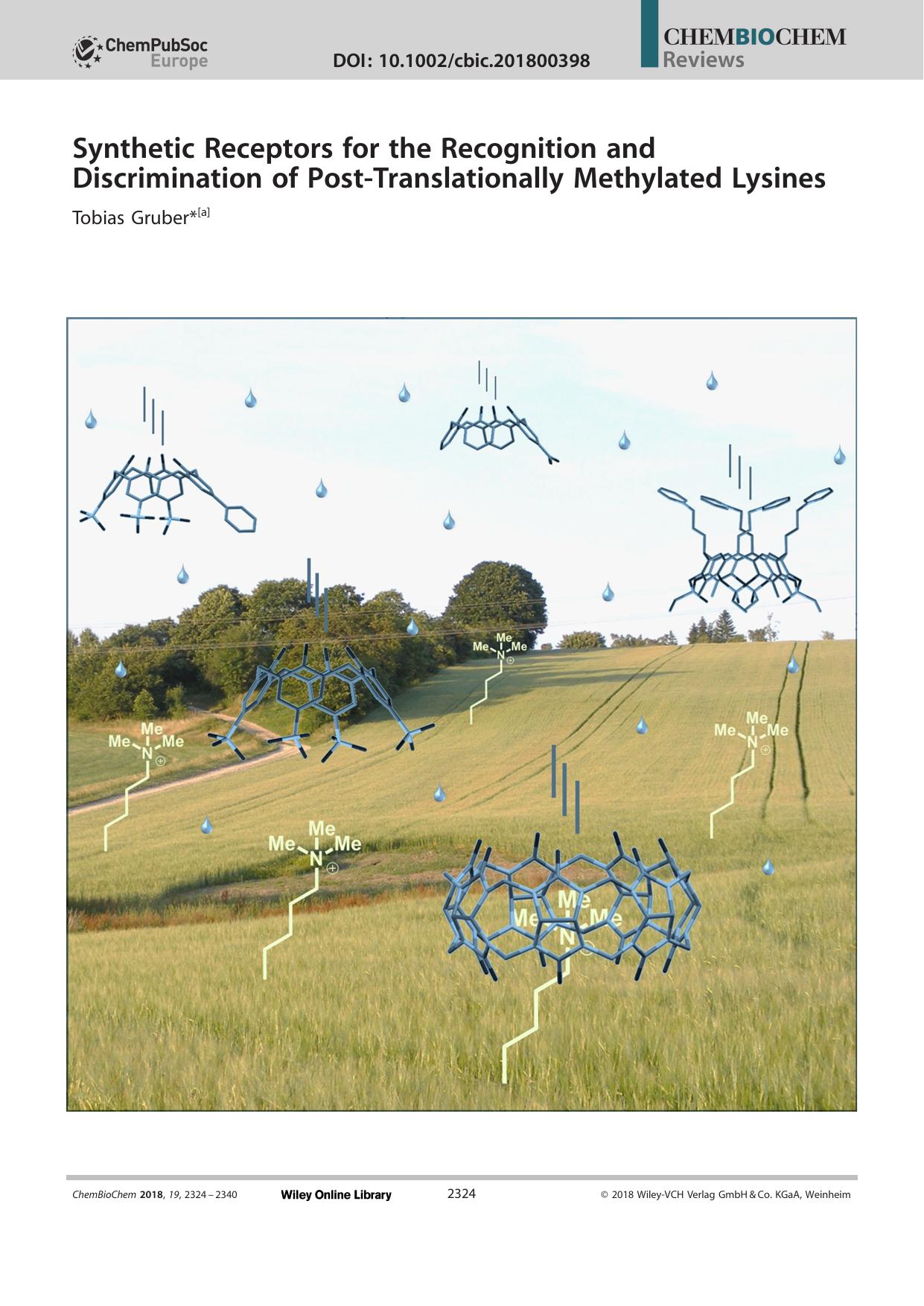 Synthetic Receptors for the Recognition and Discrimination of PostâTranslationally Methylated Lysines by Unknown