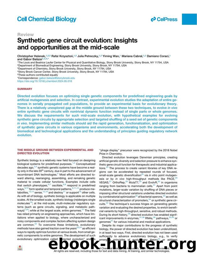 Synthetic gene circuit evolution: Insights and opportunities at the mid-scale by unknow