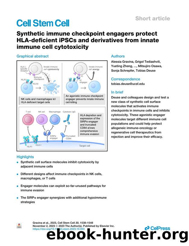Synthetic immune checkpoint engagers protect HLA-deficient iPSCs and derivatives from innate immune cell cytotoxicity by unknow