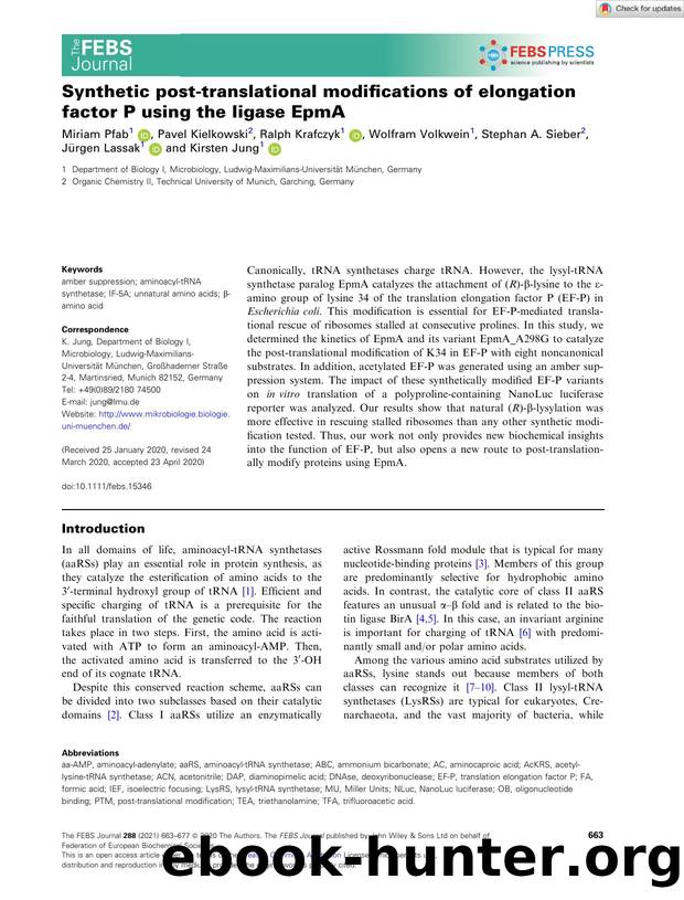 Synthetic postâtranslational modifications of elongation factor P using the ligase EpmA by Unknown