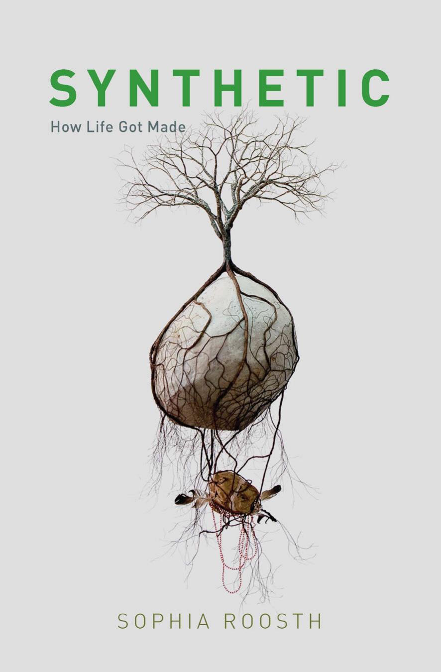 Synthetic: How Life Got Made by Sophia Roosth