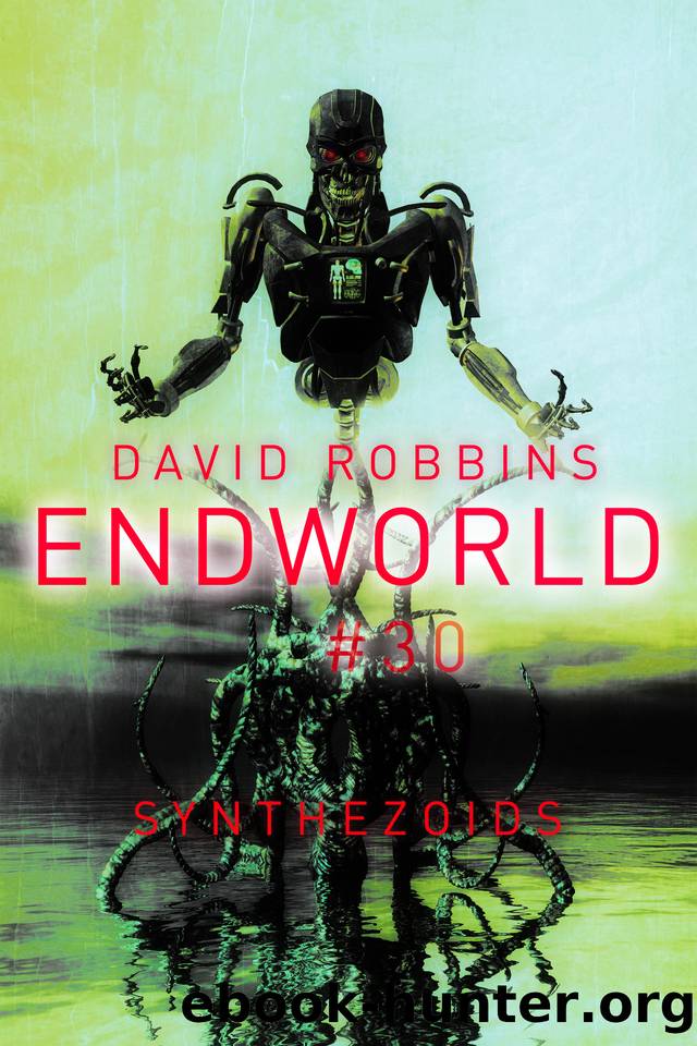 Synthezoids Endworld 30 by Robbins David
