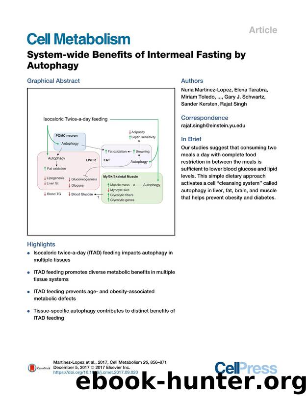 System-wide Benefits of Intermeal Fasting by Autophagy by unknow