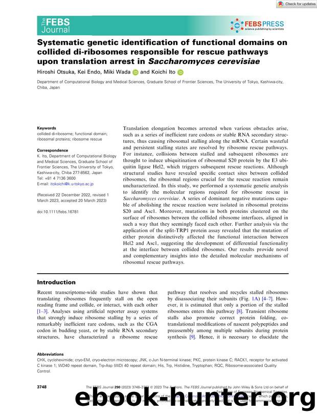Systematic genetic identification of functional domains on collided diâribosomes responsible for rescue pathways upon translation arrest in Saccharomyces cerevisiae by Unknown