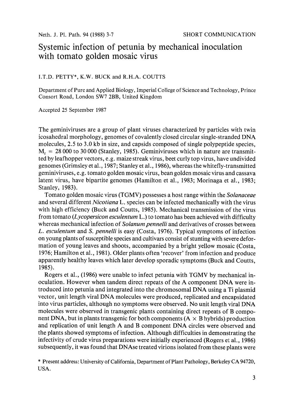 Systemic infection of petunia by mechanical inoculation with tomato golden mosaic virus by Unknown