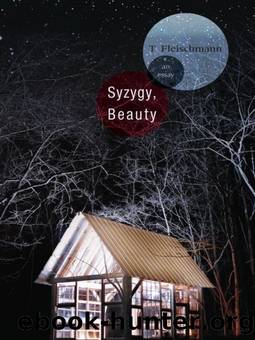 Syzygy, Beauty: an Essay by T Fleischmann