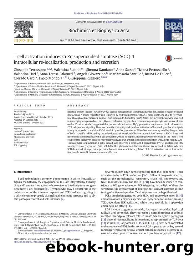 T cell activation induces CuZn superoxide dismutase (SOD)-1 intracellular re-localization, production and secretion by unknow