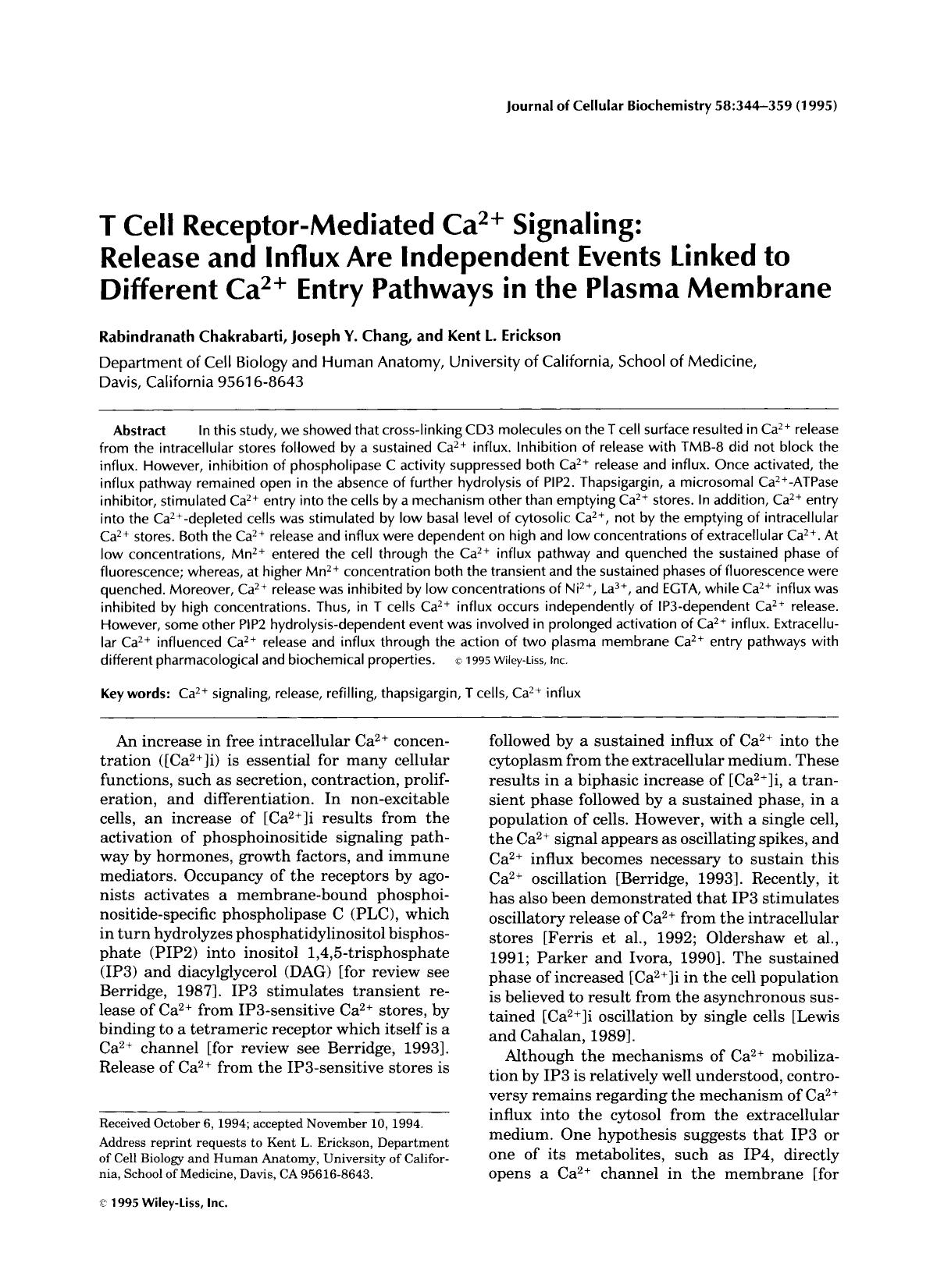 T cell receptor-mediated Ca2+ signaling: Release and influx are independent events linked to different Ca2+ entry pathways in the plasma membrane by Unknown