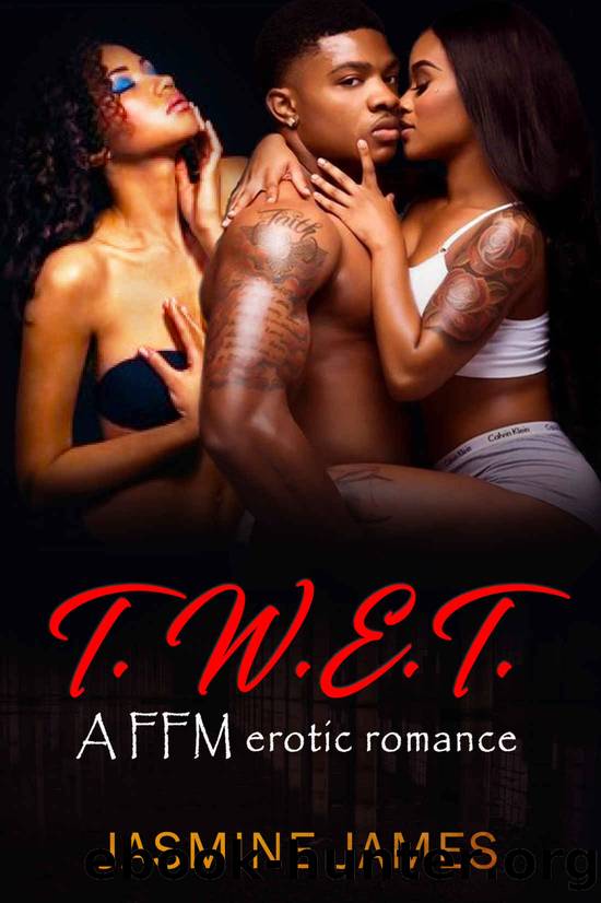 T.W.E.T.: A FFM Erotic Romance by Jasmine James