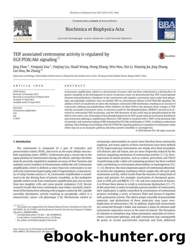 TEIF associated centrosome activity is regulated by EGFPI3KAkt signaling by unknow