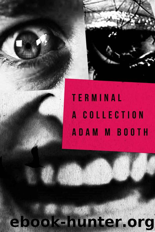 TERMINAL by Booth Adam M