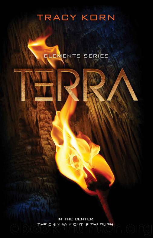 TERRA (The Elements Series Book 2) by Tracy Korn