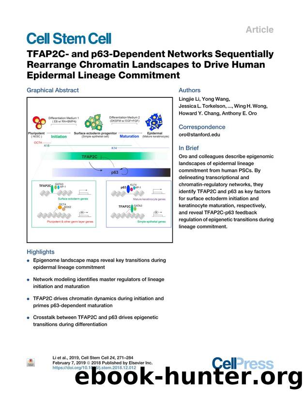 TFAP2C- and p63-Dependent Networks Sequentially Rearrange Chromatin Landscapes to Drive Human Epidermal Lineage Commitment by unknow