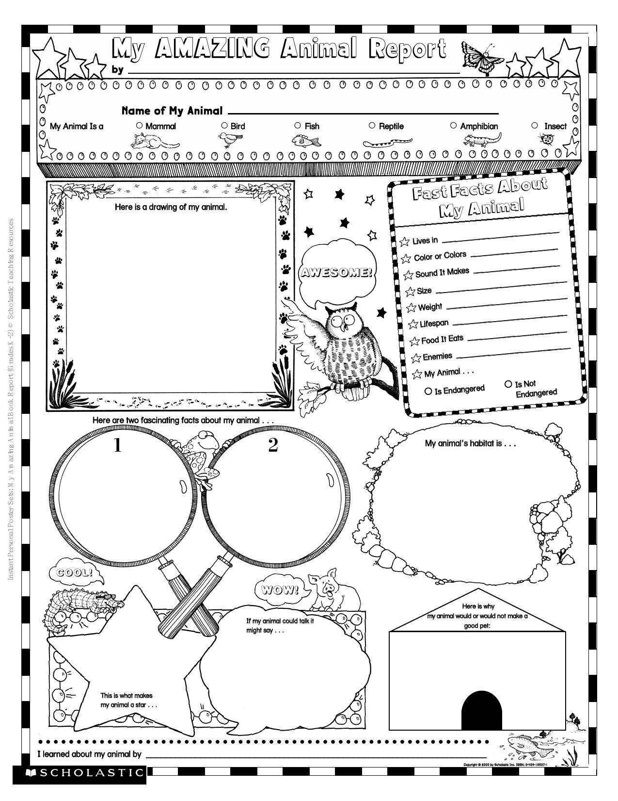 TG Animal report K-3 by unknow