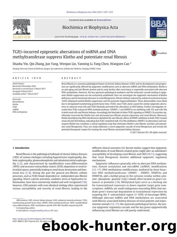 TGFÃÂ²-incurred epigenetic aberrations of miRNA and DNA methyltransferase suppress Klotho and potentiate renal fibrosis by Shasha Yin & Qin Zhang & Jun Yang & Wenjun Lin & Yanning Li & Fang Chen & Wangsen Cao