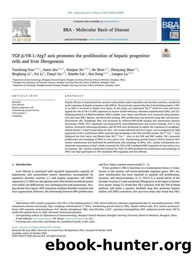 TGF-Î²YB-1Atg7 axis promotes the proliferation of hepatic progenitor cells and liver fibrogenesis by unknow