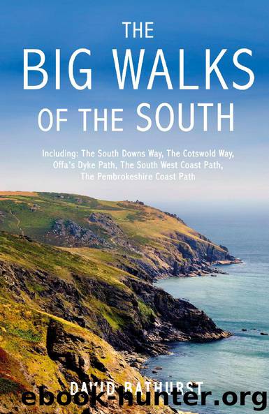 THE BIG WALKS OF THE SOUTH by DAVID BATHURST