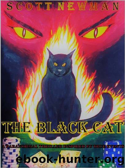THE BLACK CAT by Scott Newman