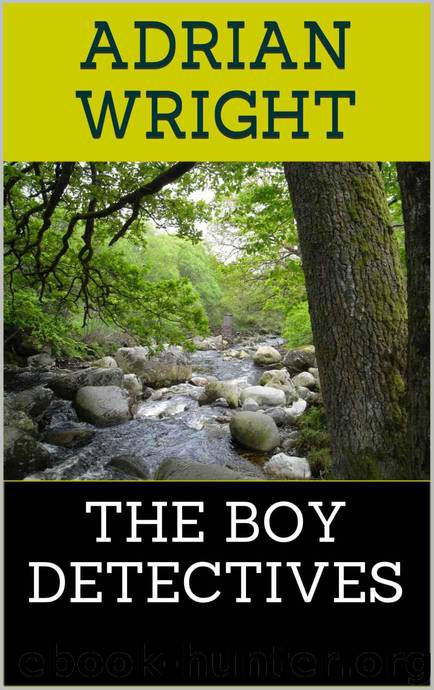 THE BOY DETECTIVES by WRIGHT ADRIAN