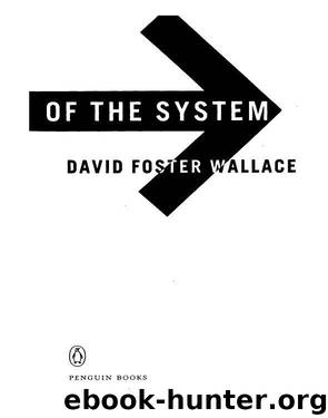 THE BROOM OF THE SYSTEM by wallace david foster