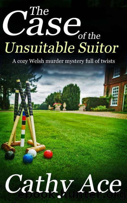 THE CASE OF THE UNSUITABLE SUITOR a cozy Welsh mystery full of twists (WISE Enquiries Agency Mysteries Book 4) by CATHY ACE