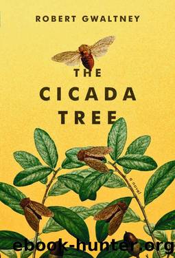 THE CICADA TREE by Robert Gwaltney