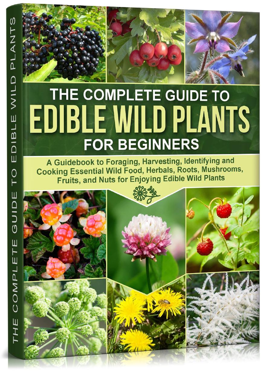 THE COMPLETE GUIDE TO EDIBLE WILD PLANTS FOR BEGINNERS: A Guidebook to Foraging, Harvesting, Identifying and Cooking Essential Wild Food, Herbals, Mushrooms ... Plants (Long-Term C by Richards Geoffrey