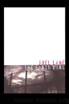 THE EARTH WIRE and Other Stories by Lane Joel