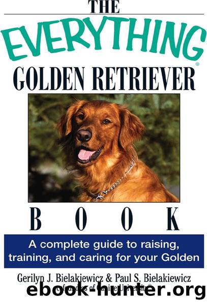 THE EVERYTHING® GOLDEN RETRIEVER BOOK by Gerilyn J. Bielakiewicz & Paul S. Bielakiewicz