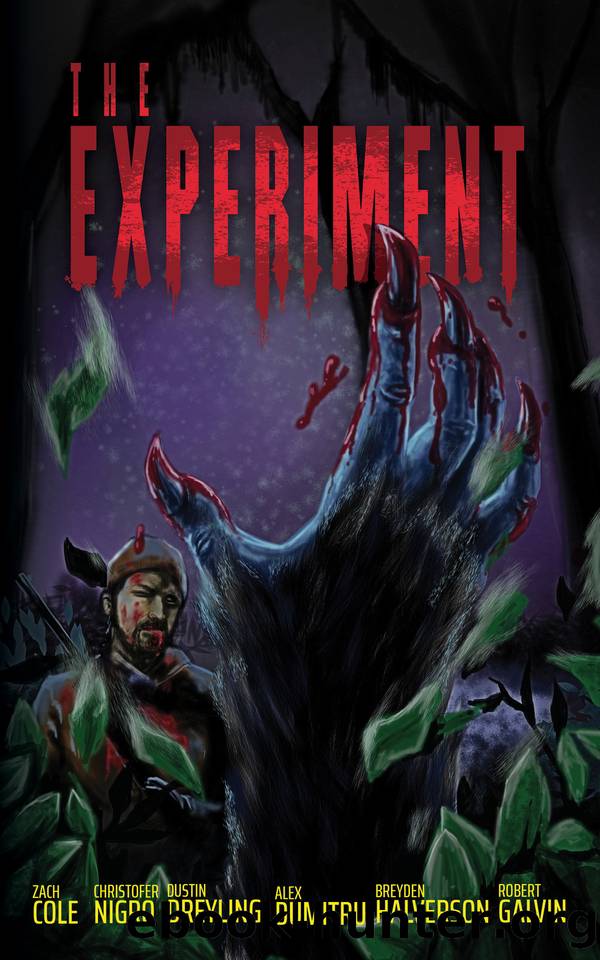 THE EXPERIMENT by unknow