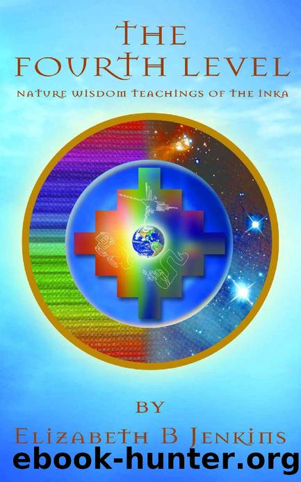 THE FOURTH LEVEL: Nature Wisdom Teachings of The Inka by Elizabeth B. Jenkins