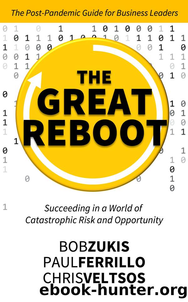 THE GREAT REBOOT: Succeeding In A World Of Catastrophic Risk And Opportunity by Veltsos Chris & Ferrillo Paul & Zukis Bob