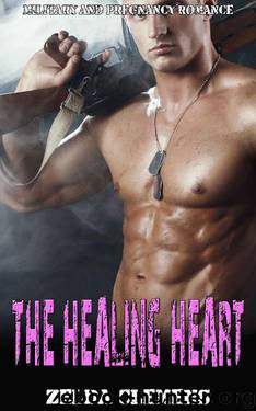 THE HEALING HEART: Military and Pregnancy Romance by Zelda Clemens