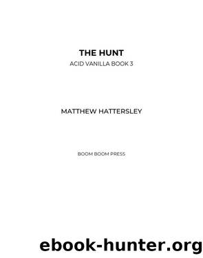 THE HUNT: Acid Vanilla Book 3 by Matthew Hattersley