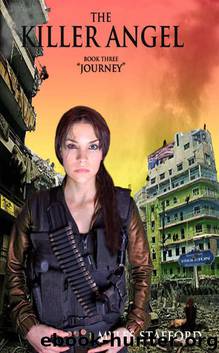 THE KILLER ANGEL : Book Three "Journey" (THE KILLER ANGEL TRILOGY 3) by Stafford Myles