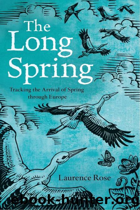 THE LONG SPRING by Laurence Rose